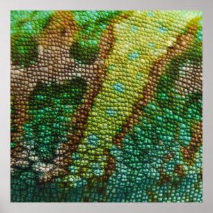 Póster Modelo de Textura da Pele de Chameleon