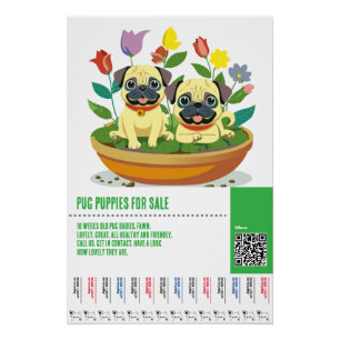 Póster Modelos de folhetos para venda de filhotes Pug