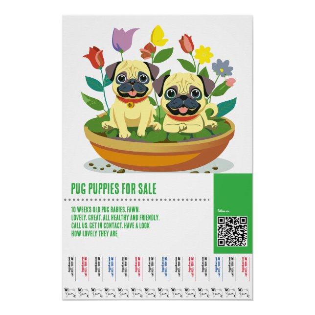 Póster Modelos de folhetos para venda de filhotes Pug (Frente)