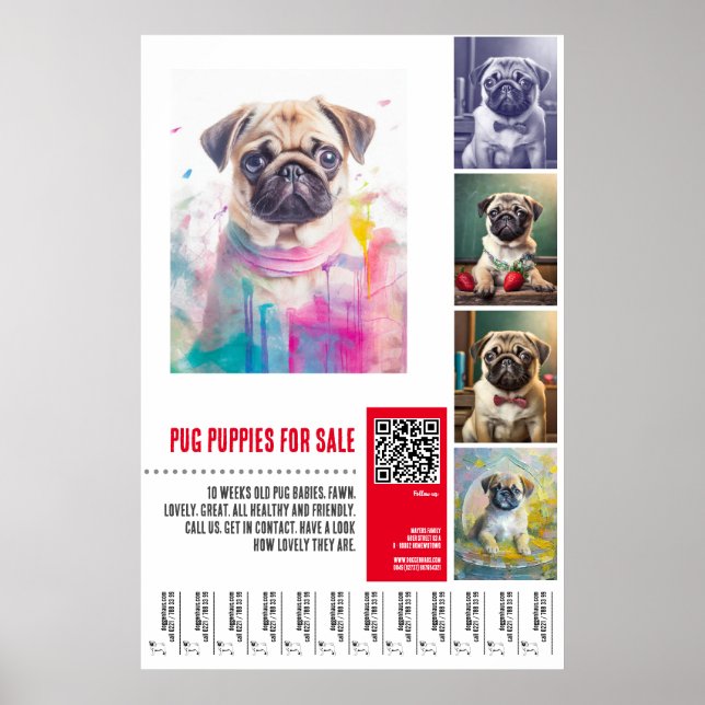 Poster Modelos de pôster de venda de filhotes Pug (Frente)