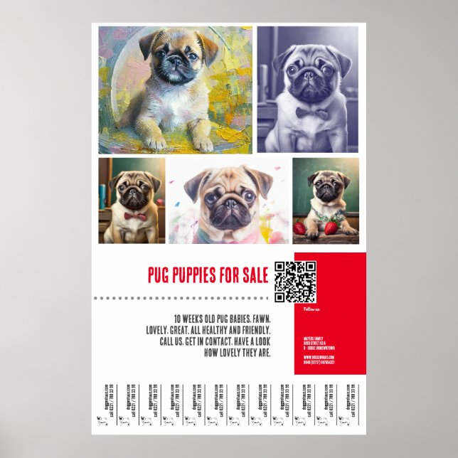Poster modelos de pôster de venda de filhotes Pug (Frente)
