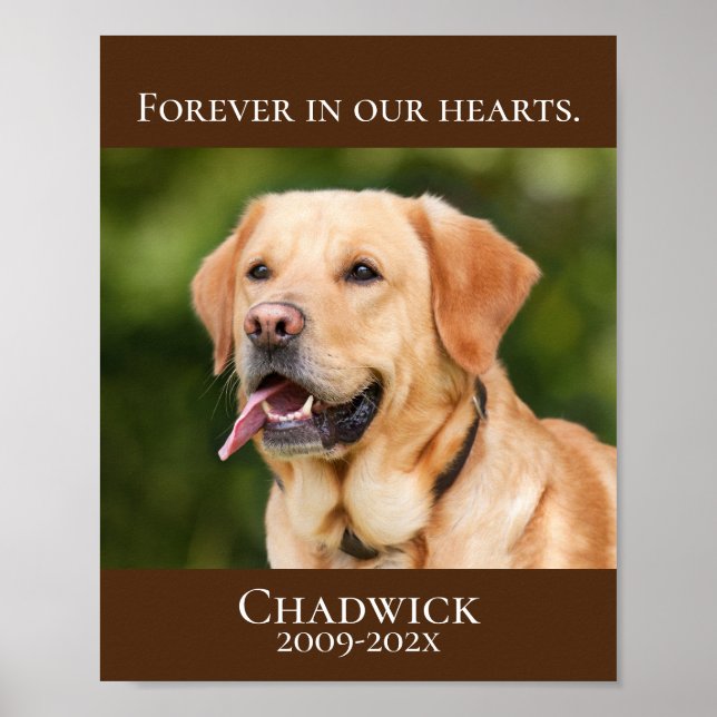 Poster Modern Brown Add Photo Pet Memorial (Frente)