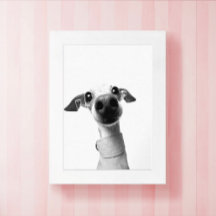 Modern Custom Pet Photo | Meeko