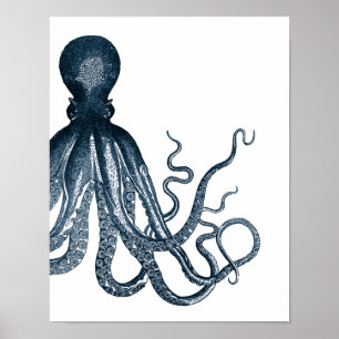 Poster moderno azul do polvo