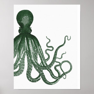 Poster moderno verde do polvo
