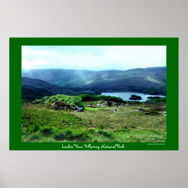 Póster Modo de Exibição de Damas (Frente)