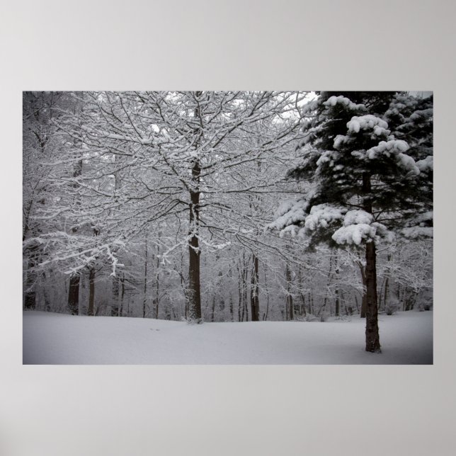 Póster Modo de Exibição de Woods (Frente)