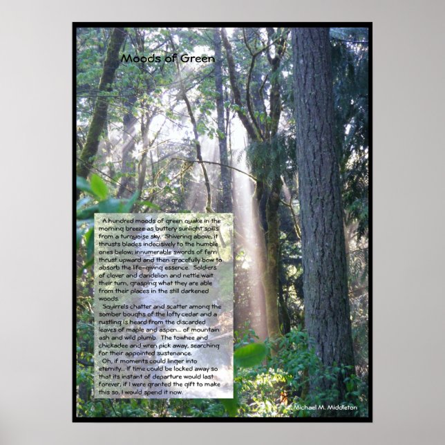 Poster Modos verdes (Frente)