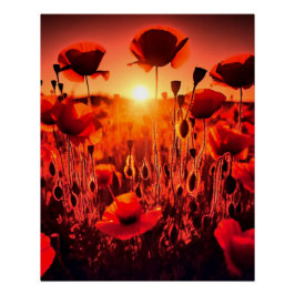 Póster Mohn im Gegenlicht