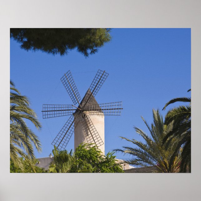Poster Moinho de vento, Palma, Maiorca, Espanha (Frente)