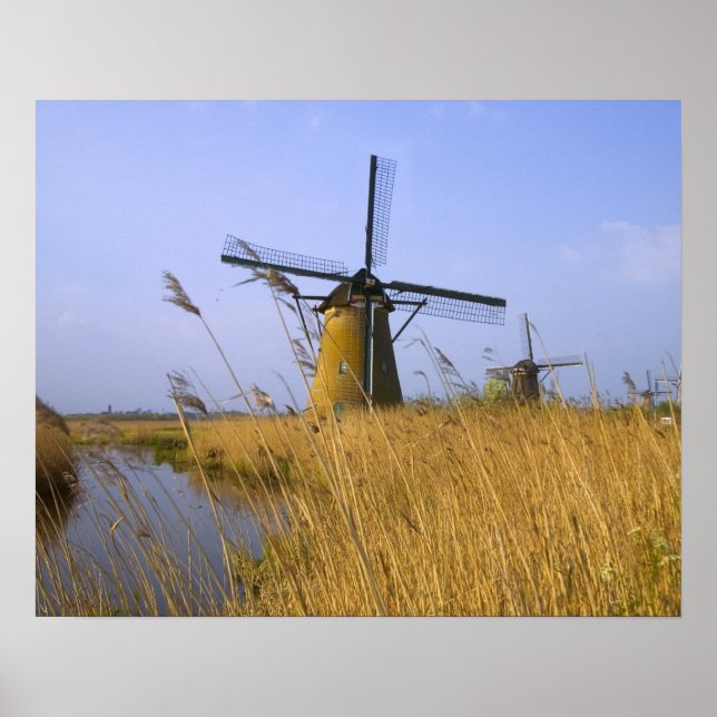 Poster Moinhos ao longo do canal em Kinderdijk, 2 (Frente)