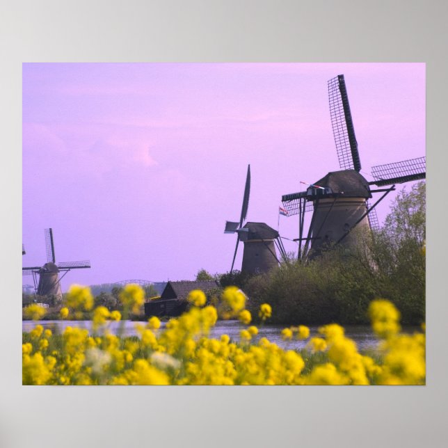 Póster Moinhos de vento ao longo do canal em Kinderdijk, (Frente)