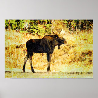 Poster Mola-Cana-Cadeado-Pano-Touro