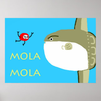 PÓSTER MOLA MOLA