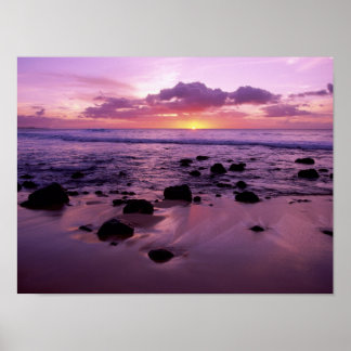 Poster Molaki Sunset