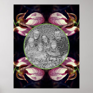 Poster Moldura De Senhora Rosa Selvagem, Slipper Orchid A