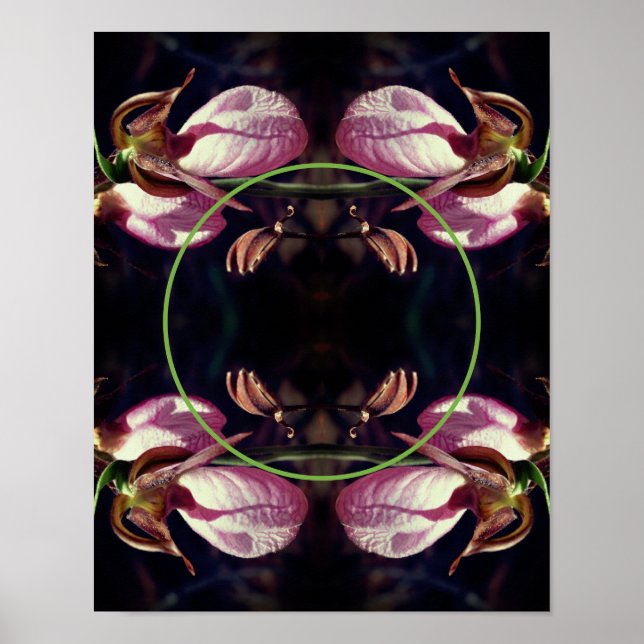 Poster Moldura De Senhora Rosa Selvagem, Slipper Orchid A (Frente)