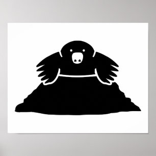 Póster Mole