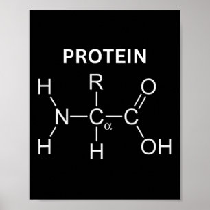 Poster Molécula De Proteína - Giro E Química - Construção