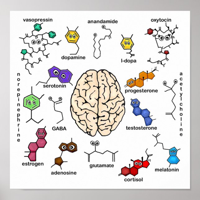 Póster Moléculas Galore! Pôster (Frente)