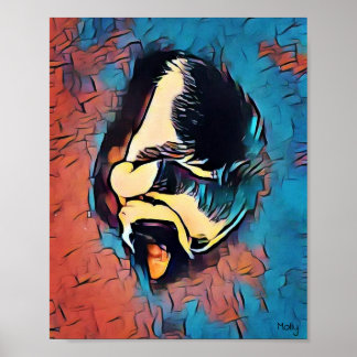 Poster Molly, o Gato