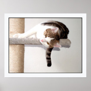 Póster momento de angústia