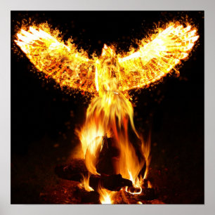 Poster Momento de nascimento