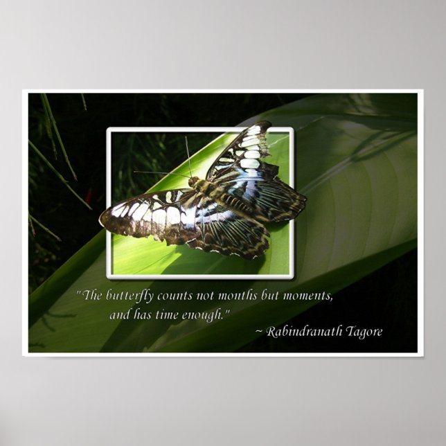 Póster Momentos no tempo (Frente)