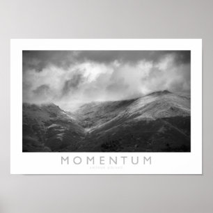 Poster Momentum