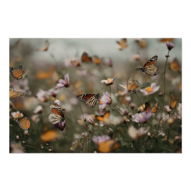 Póster Monarcas & Flores Silvestres Paisagem dos Sonhos d (Frente)