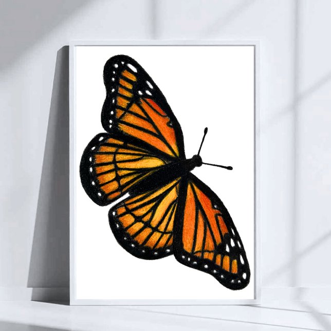 Poster Monarch Butterfly Drawing Colored Pencil Art (Criador carregado)