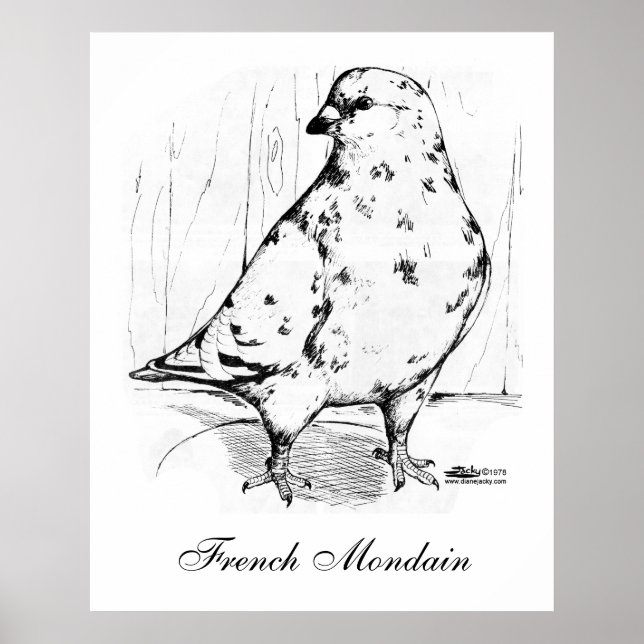 Póster Mondain Pigeon Francês 1978 (Frente)