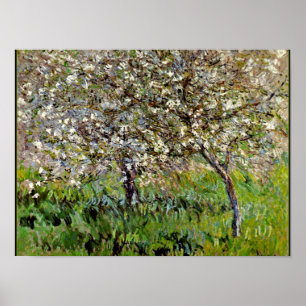 Poster Monet - Apple Tres in Bloom