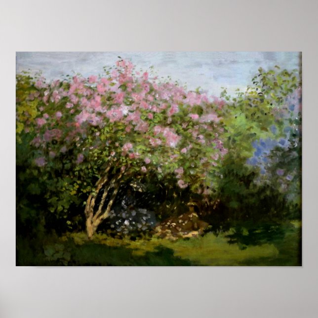 Póster Monet - Lilases no Sol (Frente)