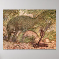 Mongoose e Cobra por Sargent, Vintage Wild Animal