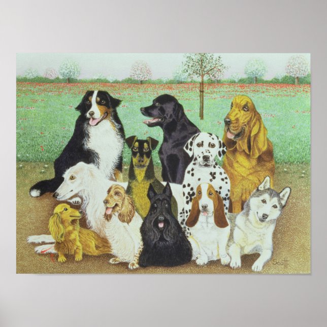 Póster Monitorização de Cães (Frente)