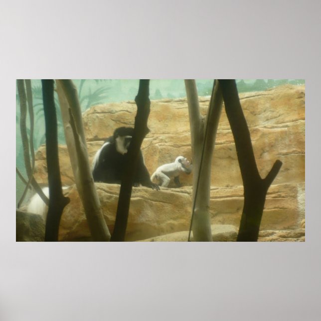 Poster Monkeings (Frente)