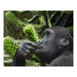 Póster Monkey Puzzle.