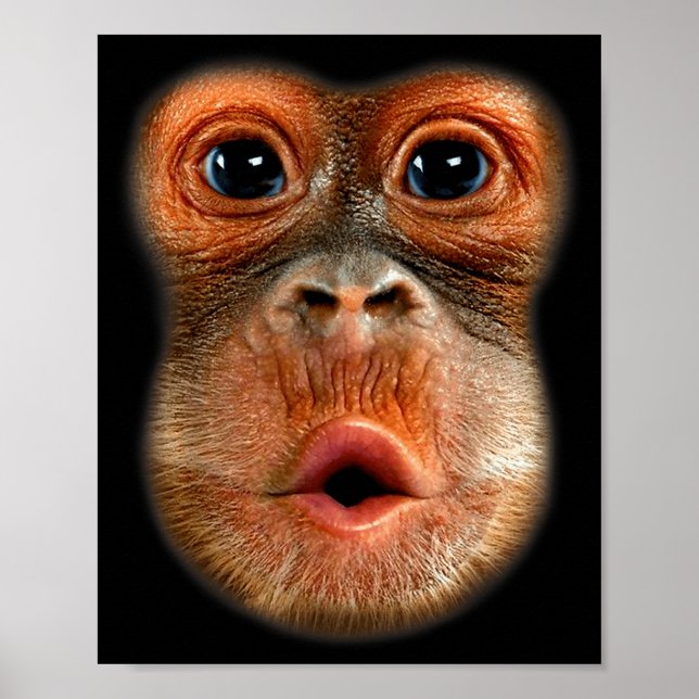 Poster Monkey Stomach Funny Meme Cool Viral Video  (Frente)