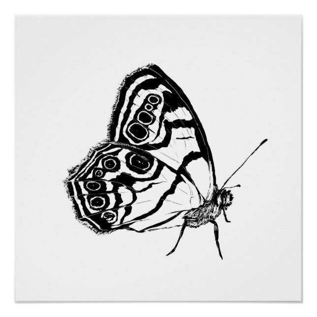 Póster Monochrome Butterfly (Frente)
