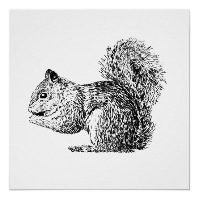 Póster Monochrome Squirrel poster (part of a set) (Frente)
