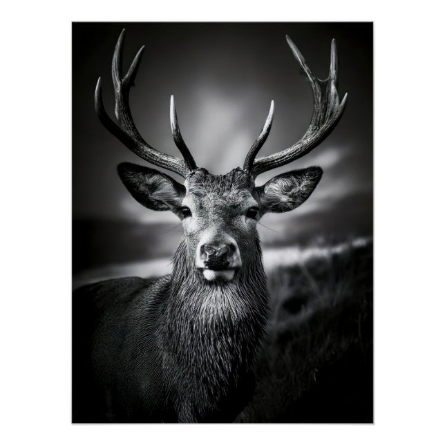 Póster Monochrome Stag Portrait with Impressive Antlers (Frente)