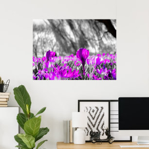 Poster Monocromático da Flor Púrpura Preta