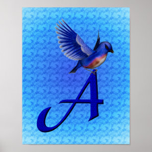 Poster Monograma Inicial A de Bluebird