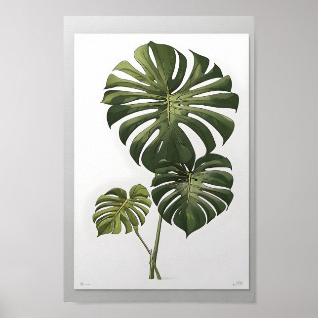 Poster Monstera albo flower, bela planta verde (Frente)