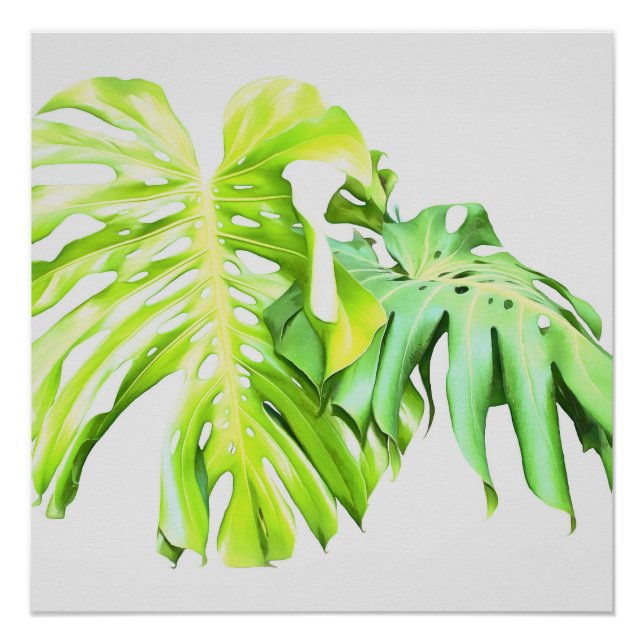Póster Monstera Artística Leaf Study (Frente)