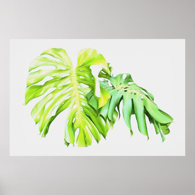 Poster Monstera Artística Leaf Study (Frente)
