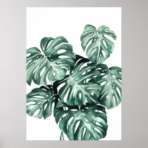 Poster Monstera Deliciosa Folaves