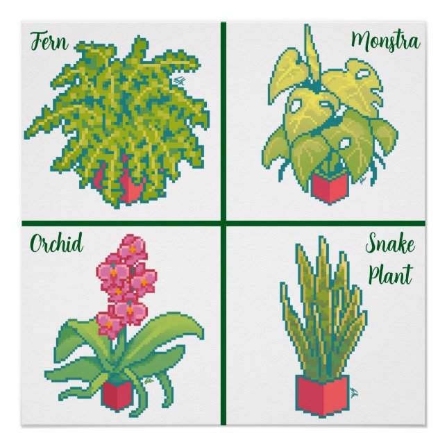 Póster Monstera, Fern, Orchid, snake plant. Pixel art (Frente)
