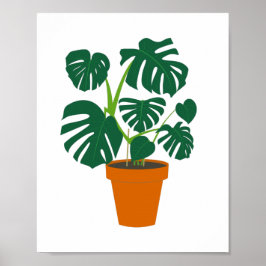 Poster Monstera, flor branca, em floricultura